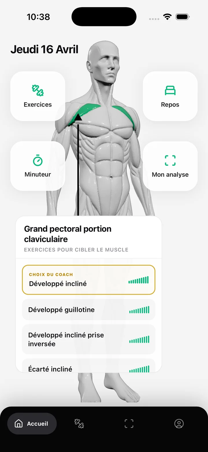Analyse morphologique — ShapeVision