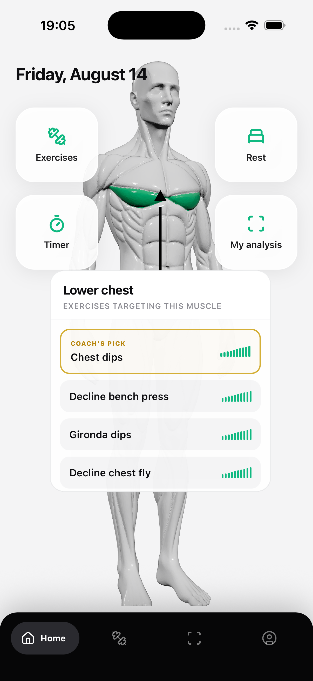 Physique analysis — ShapeVision